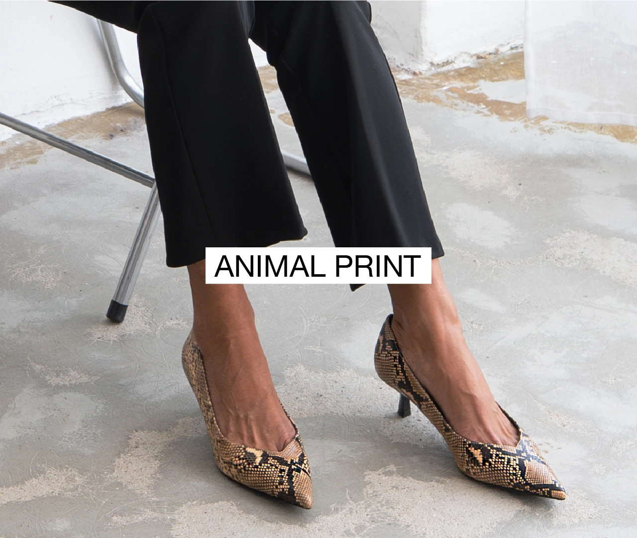 Animal Print - Fall Winter 2025