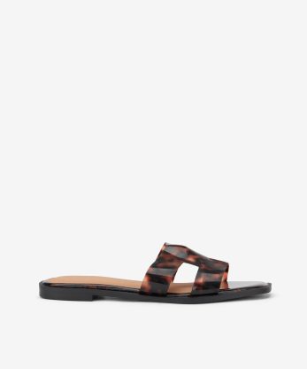CHINELO JELLY ESTAMPADO TURTTLE