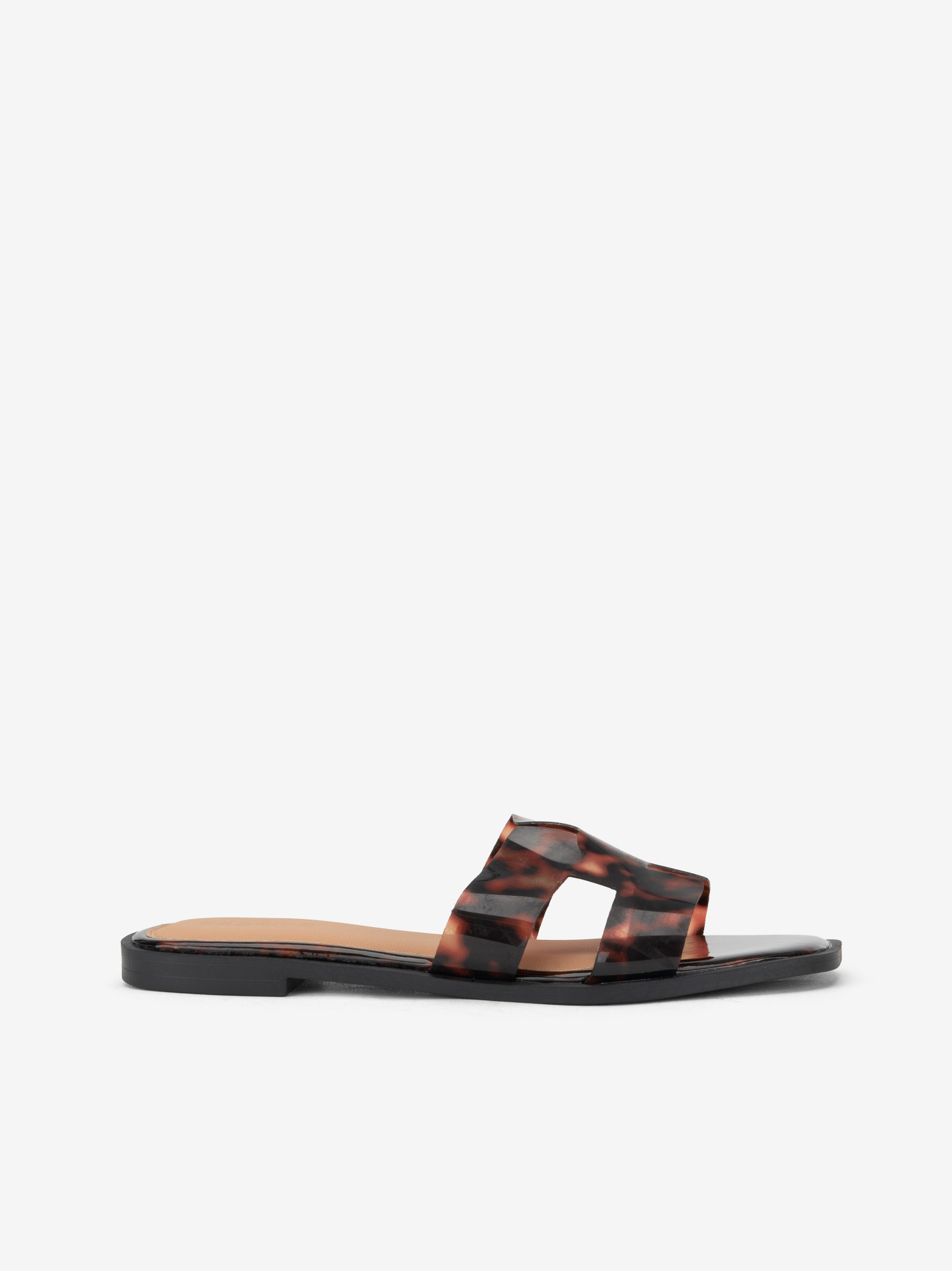 CHINELO JELLY ESTAMPADO TURTTLE