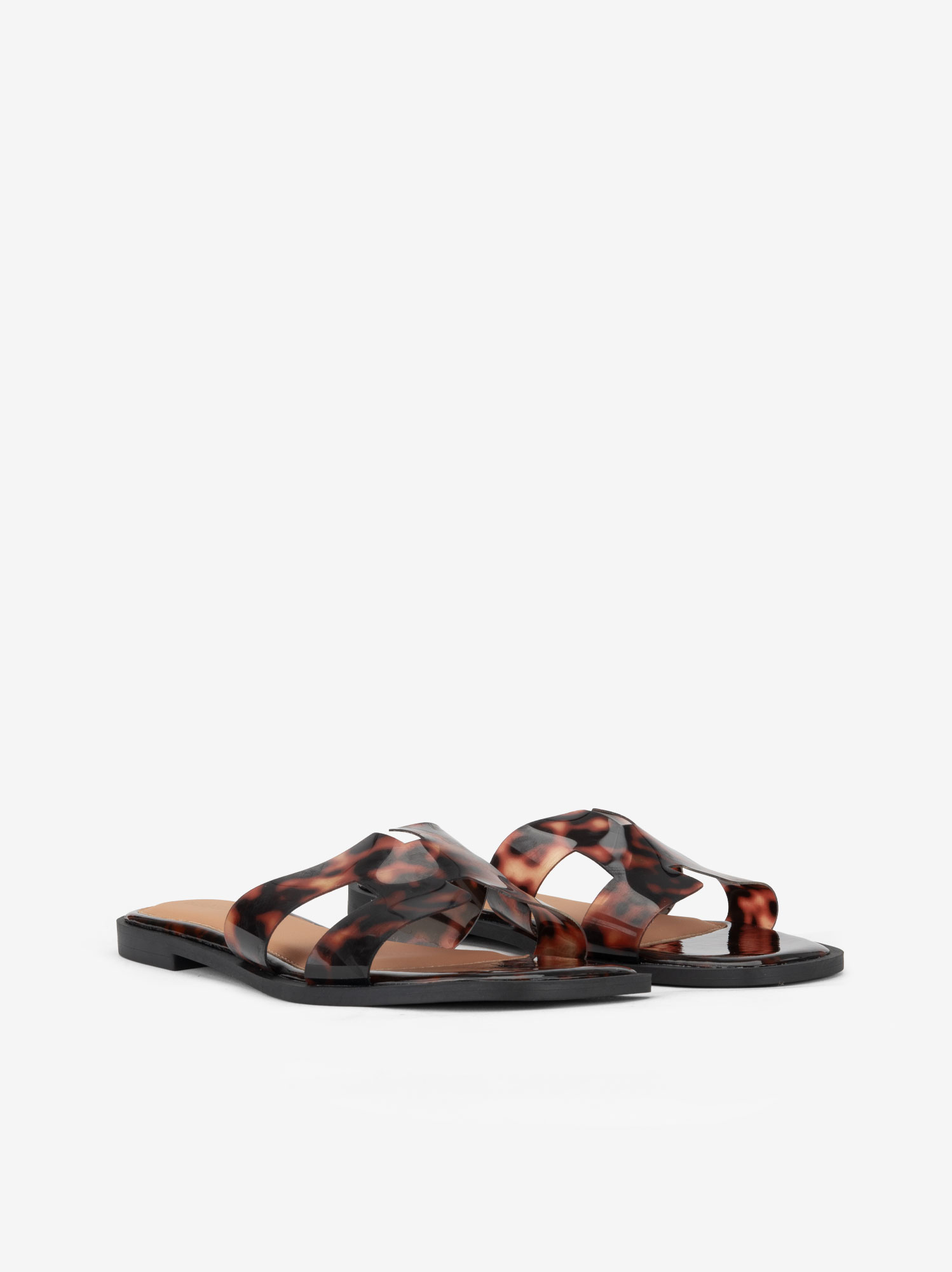 CHINELO JELLY ESTAMPADO TURTTLE - Image 2